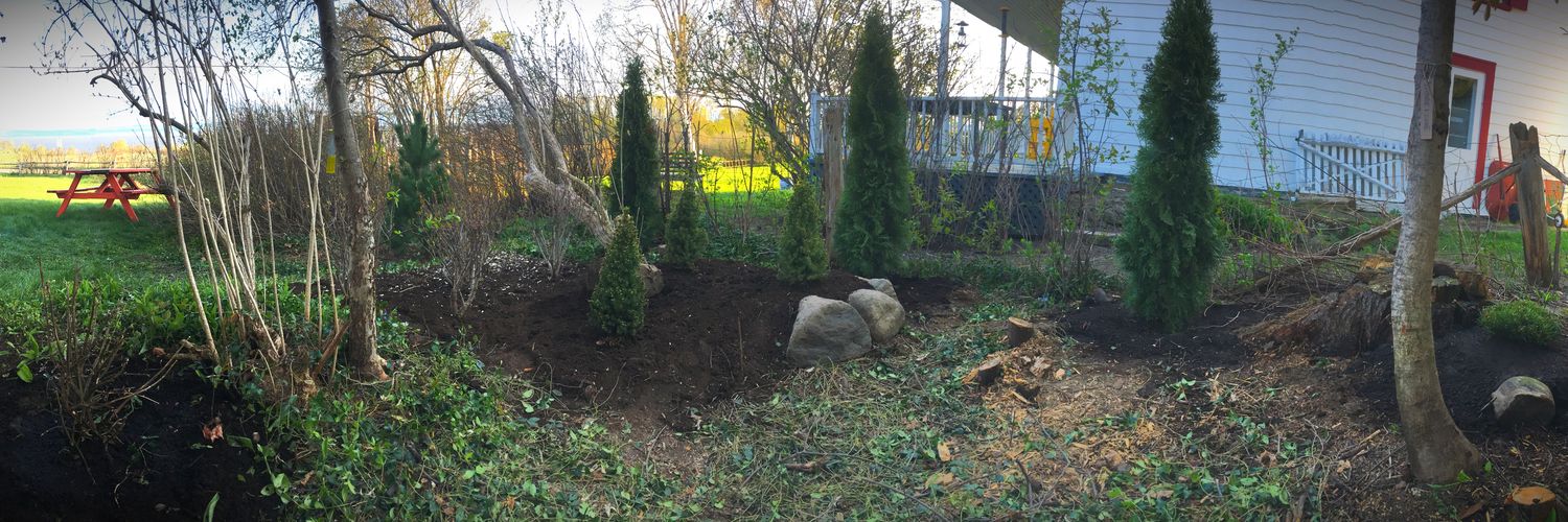 Aménagement arboré en sous-bois, Les Éboulements